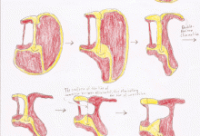 Experimental Topology + Analysis